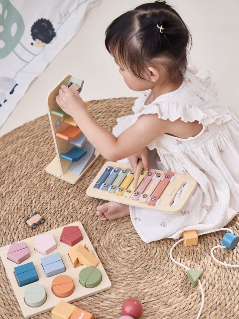 Viga Toys VIGA Zestaw Zabawek Edukacyjnych Pudełko Box od 18 miesiąca do 24 miesiąca