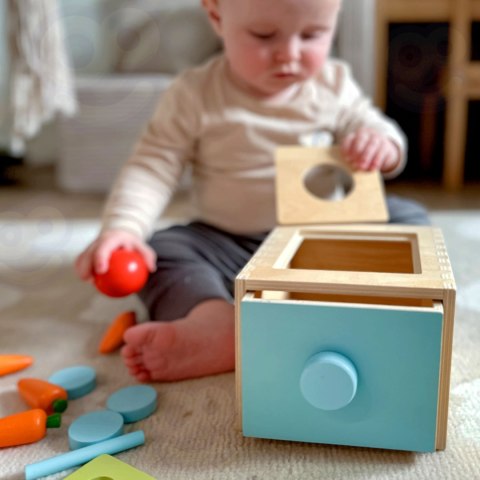 Woopie Let's Go Green WOOPIE GREEN Drewniana Szuflada Edukacyjna Sorter Montessori Woopie Let's Go Green WOOPIE GREEN Drewniana Szuflada Edukacyjna Sorter Montessori