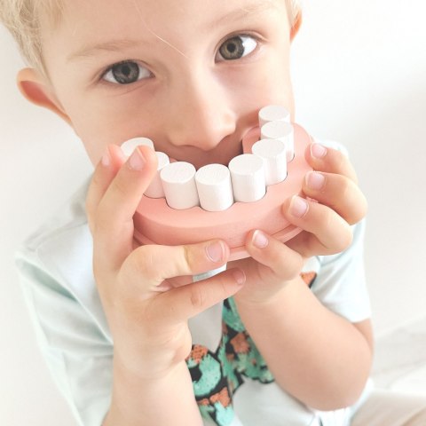 Tooky Toy TOOKY TOY Zestaw Małego Dentysty Walizka Lekarza 19 el. FSC