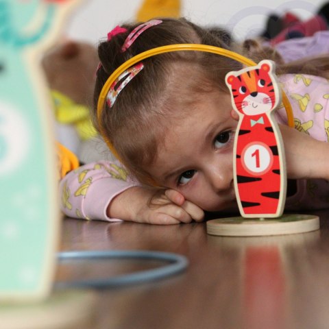 Tooky Toy TOOKY TOY Drewniana Gra Zręcznościowa Rzut do Celu Zwierzątka 15 el. Tooky Toy TOOKY TOY Drewniana Gra Zręcznościowa Rzut do Celu Zwierzątka 15 el.