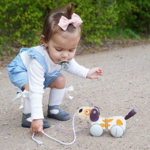 Viga Toys VIGA PolarB Drewniany Piesek do Ciągnięcia