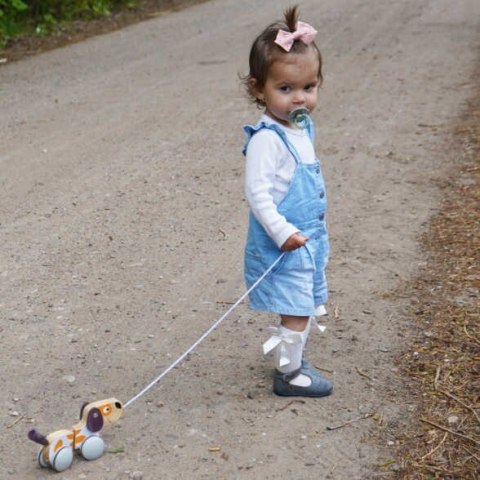 Viga Toys VIGA PolarB Drewniany Piesek do Ciągnięcia