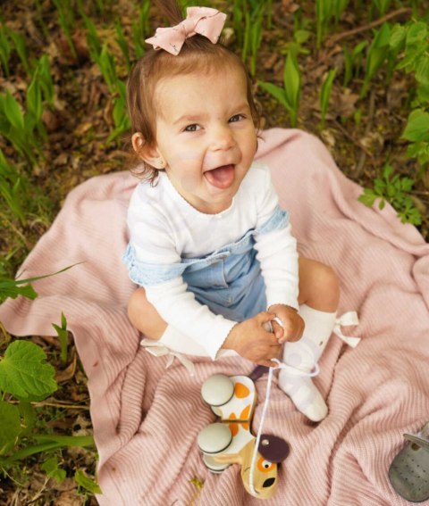 Viga Toys VIGA PolarB Drewniany Piesek do Ciągnięcia