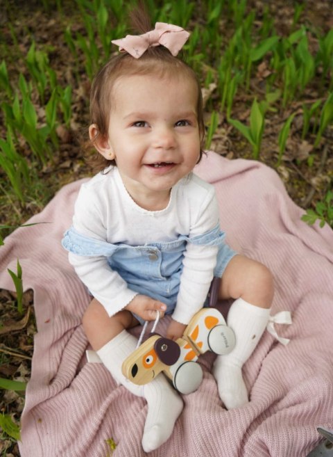 Viga Toys VIGA PolarB Drewniany Piesek do Ciągnięcia