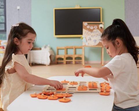 Viga Toys VIGA Gra Pamięciowa Memory Zgadnij Obrazki 10 Kart Montessori Duża