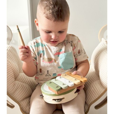 Viga Toys VIGA PolarB Zestaw Instrumentów Muzycznych Zielony