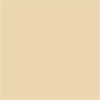 Farba PLUS Color 60 ml Cielisty Beż