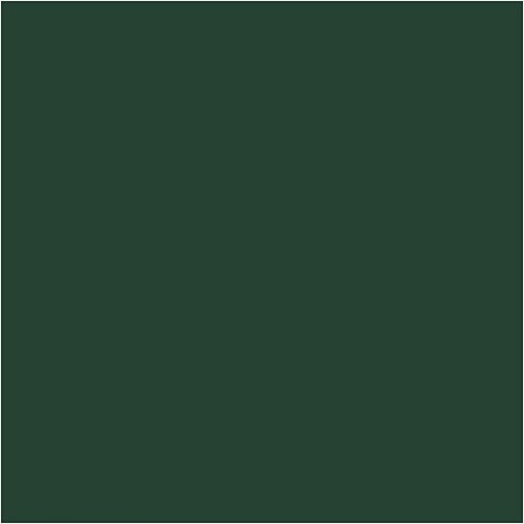 Farba PLUS Color 60 ml Ciemna Zieleń