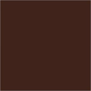 Farba PLUS Color 60 ml Czekoladowa