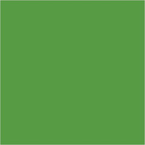 Farba PLUS Color 60 ml Intensywna Zieleń