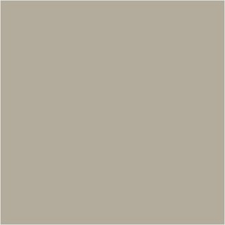 Farba PLUS Color 60 ml Kamienny Beż