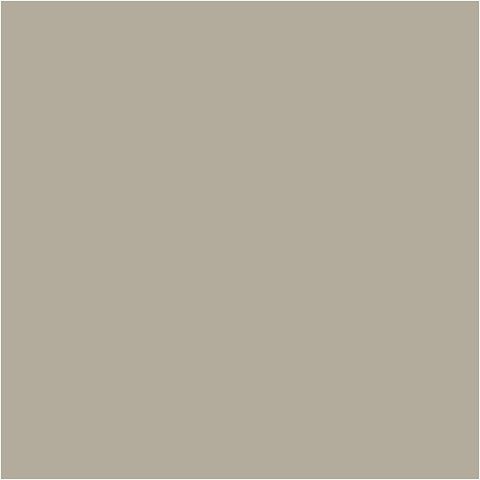 Farba PLUS Color 60 ml Kamienny Beż