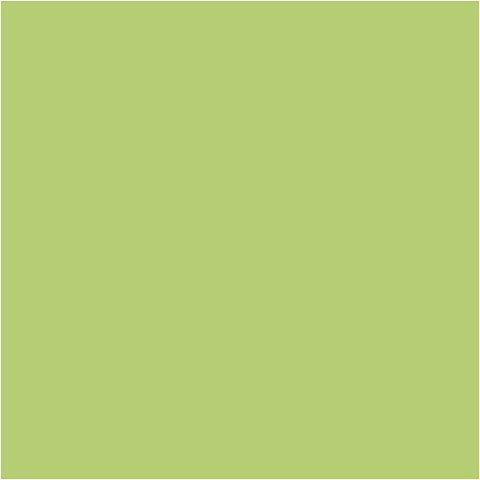 Farba PLUS Color 60 ml Limonkowa Zieleń