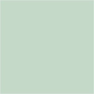 Farba PLUS Color 60 ml Zieleń Wiosny