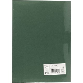 Papier Jodłowo Zielony A4 180g 20 ark.