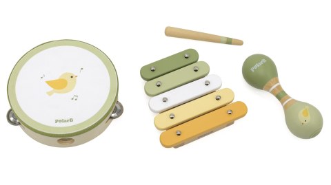 VIGA PolarB Zestaw Instrumentów Muzycznych Z Ptaszkiem