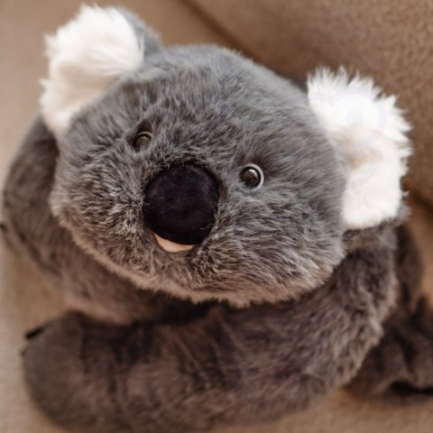 WOOPIE Pluszak Obciążeniowy Koala Antystresowy Sensoryczny Ciężkomiś Przytulanka 65cm 1500g